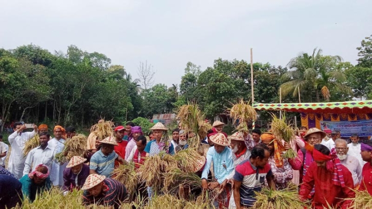 আটপাড়ায় পাকা বোরো ধান কাটা কর্মসূচি পালন