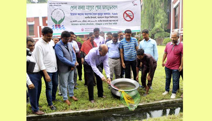 বাউবি ক্যাম্পাসকে মশকমুক্ত রাখতে ড্রেনে মাছের পোনা অবমুক্ত করণ