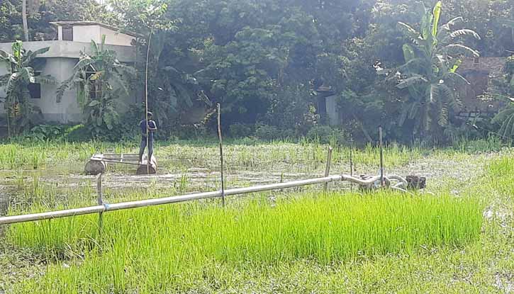 রামগঞ্জে ফসলি জমিতে ড্রেজার দিয়ে অবৈধভাবে বালু উত্তোলন রামগঞ্জে ফসলি জমিতে ড্রেজার দিয়ে অবৈধভাবে বালু উত্তোলন