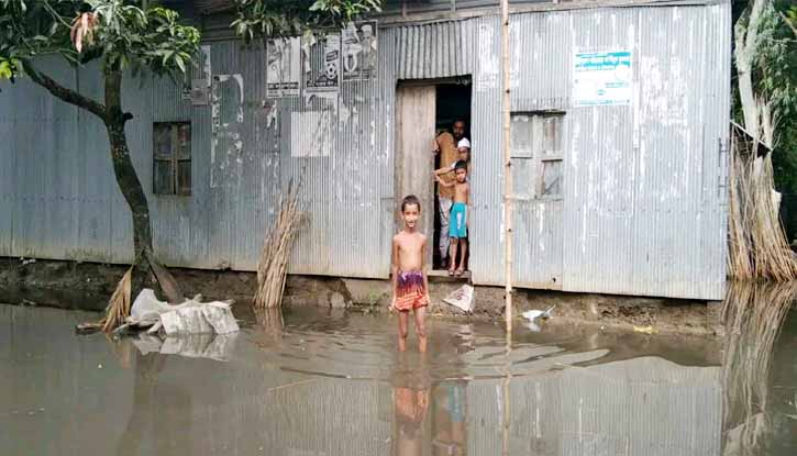 বকশীগঞ্জে জলাবদ্ধতায় শতাধিক পরিবার পানি বন্দী