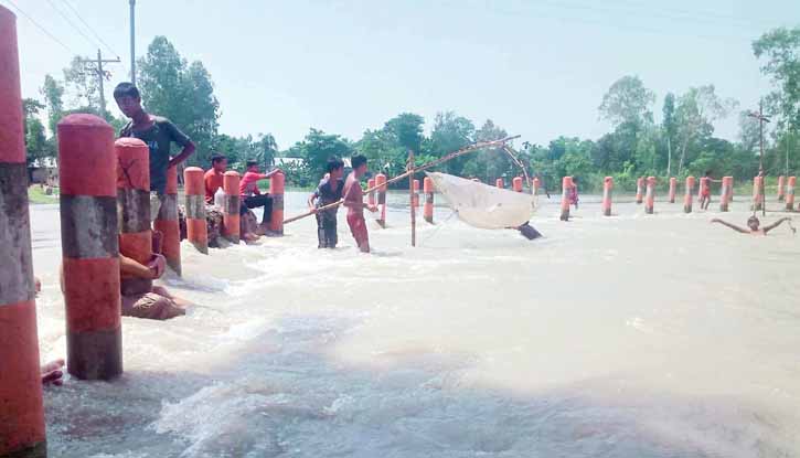 ইসলামপুরে যমুনা নদীর পানি বৃদ্ধি ইসলামপুরে যমুনা নদীর পানি বৃদ্ধি