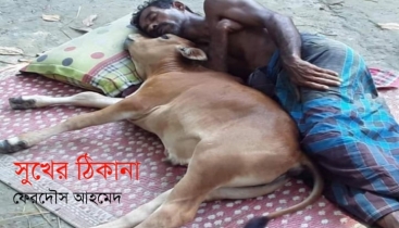 সুখের ঠিকানা