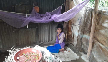 টাকার অভাবে বিনা চিকিৎসায় মরতে বসেছে আমেনা