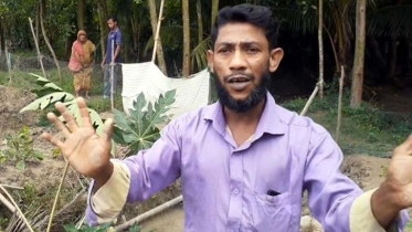 রামগঞ্জে কৃষকের ফল গাছ ও সবজির বাগান কেটে ফেলার অভিযোগ