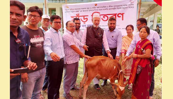 কলমাকান্দায় ক্ষুদ্র নৃ-গোষ্ঠির লোকজনের মধ্যে ষাঁড় গরু বিতরণ কলমাকান্দায় ক্ষুদ্র নৃ-গোষ্ঠির লোকজনের মধ্যে ষাঁড় গরু বিতরণ