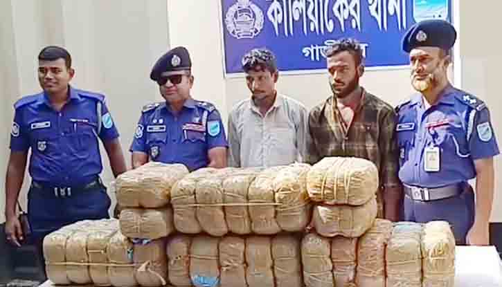 কালিযাকৈরে বিপুল পরিমাণ গাঁজা উদ্ধার, দুই মাদক ব্যবসায়ী গ্রেপ্তার কালিযাকৈরে বিপুল পরিমাণ গাঁজা উদ্ধার, দুই মাদক ব্যবসায়ী গ্রেপ্তার
