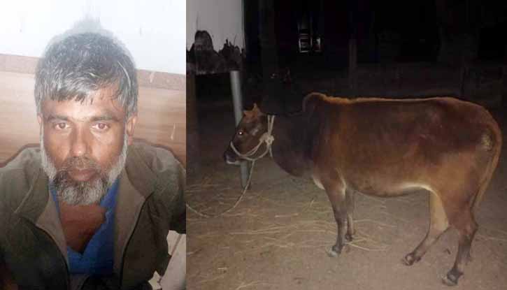 জয়পুরহাটে গরু উদ্ধারসহ এক চোর আটক