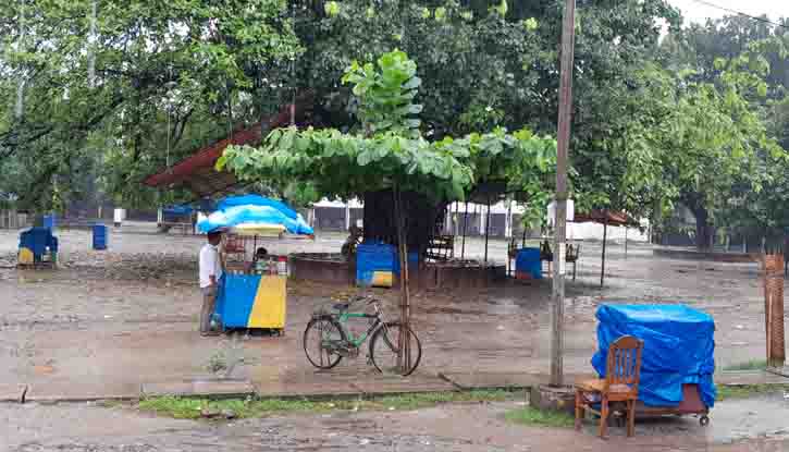 আশ্বিনের বৃষ্টিতে ঠাকুরগাঁওয়ে পথে পথে ভোগান্তি আশ্বিনের বৃষ্টিতে ঠাকুরগাঁওয়ে পথে পথে ভোগান্তি