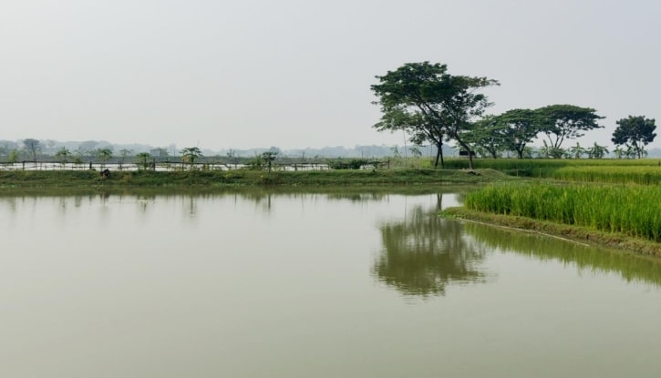 ত্রিশালে প্রতারণা করে যৌথ মালিকানাধীন ফিসারির মাছ বিক্রির অভিযোগ ত্রিশালে প্রতারণা করে যৌথ মালিকানাধীন ফিসারির মাছ বিক্রির অভিযোগ