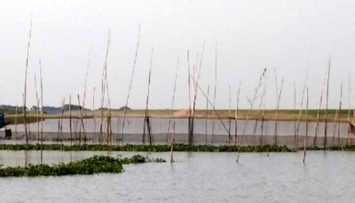 ধর্মপাশায় জলমহালের দখল না পেয়ে দিশেহারা ইজারাদার