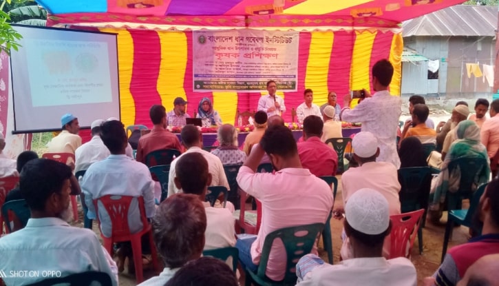 বারহাট্টায় আধুনিক ধান উৎপাদন প্রযুক্তি বিষয়ক কৃষক প্রশিক্ষণ অনুষ্ঠিত