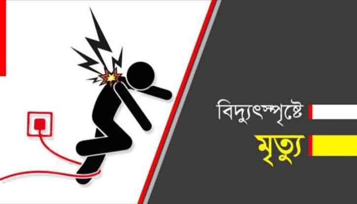 শেরপুরের নকলায় শিয়াল মারার বৈদ্যুতিক ফাঁদে খামারির মৃত্যু