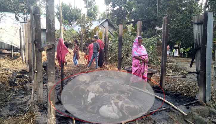 বারহাট্টায় আগুনে পুড়ে ৮টি গরুসহ গোয়াল ঘর পুড়ে ছাই বারহাট্টায় আগুনে পুড়ে ৮টি গরুসহ গোয়াল ঘর পুড়ে ছাই