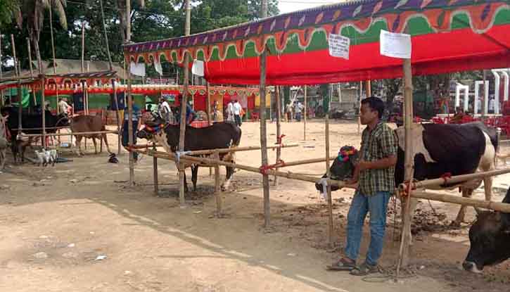 মদনে প্রাণিসম্পদ সেবা সপ্তাহ ও প্রদর্শনী মেলা অনুষ্ঠিত