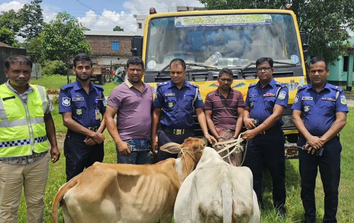 নেত্রকোণায় চোরাই গরু ট্রাকসহ চালক আটক নেত্রকোণায় চোরাই গরু ট্রাকসহ চালক আটক