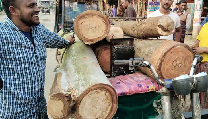 ঝিনাইগাতীতে এলজিইডি রাস্তার জব্দকৃত কাঠ নিয়ে নয়-ছয়ের অভিযোগ