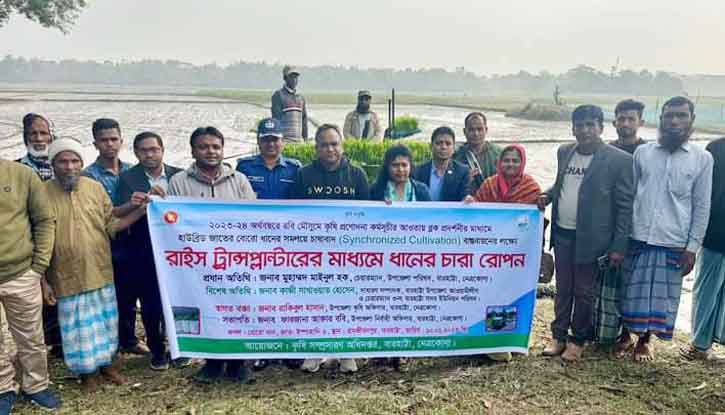 বারহাট্টায় রাইস ট্রান্সপ্লান্টারের মাধ্যমে ধানের চারা রোপন
