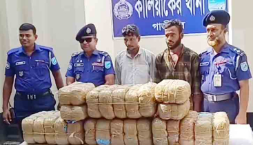 কালিযাকৈরে বিপুল পরিমাণ গাঁজা উদ্ধার, দুই মাদক ব্যবসায়ী গ্রেপ্তার