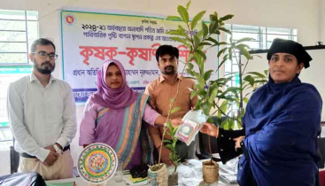 কেন্দুয়ায় দুদিন ব্যাপী কৃষাণ কৃষাণী প্রশিক্ষণ শেষে সবজি বীজ ও গাছের চারা বিতরণ