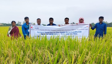 ঠাকুরগাঁওয়ে জিংক ধান-বঙ্গবন্ধু ধান-১০০ শীর্ষক কৃষক মাঠ দিবস অনুষ্ঠিত