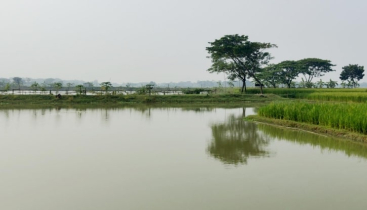 ত্রিশালে প্রতারণা করে যৌথ মালিকানাধীন ফিসারির মাছ বিক্রির অভিযোগ