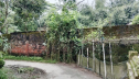 কেন্দুয়ায় ১০ বছর ধরে বাড়িছাড়া পাঁচ পরিবার