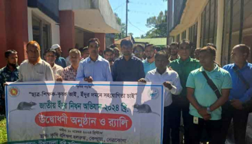 কেন্দুয়ায় জাতীয় ইঁদুর নিধন অভিযানের উদ্বোধন