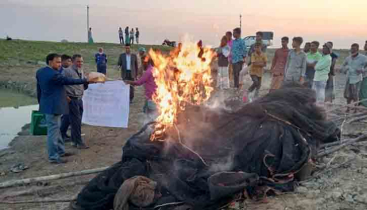 মোহনগঞ্জে চিকাডুকি মৎস্য অভয়াশ্রমে মোবাইল কোর্ট, জাল নৌকা জব্দ 