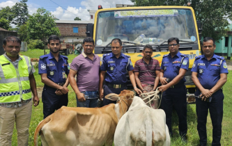 নেত্রকোণায় চোরাই গরু ট্রাকসহ চালক আটক