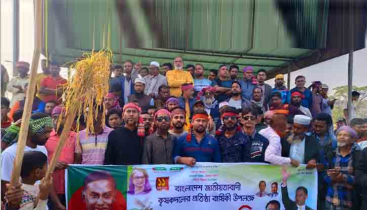 মোহনগঞ্জে বর্ণাঢ্য আয়োজনে কৃষকদলের ৪৪তম প্রতিষ্ঠাবার্ষিকী পালিত