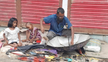 ঠাকুরগাঁওয়ে বিলুপ্ত পথে ছাতা মেরামতের কারিগর