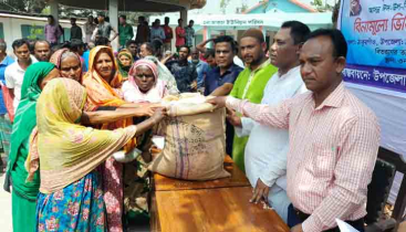 ঠাকুরগাঁওয়ে বিনামূল্যে চাল পেলো ২ হাজার ২৫০টি পরিবার