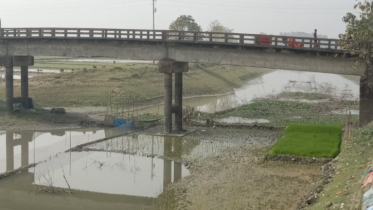 মদনে ইউনিয়ন ভূমি অফিসের সামনে নদী শুকিয়ে মাছ ধরছে ইজারাদার