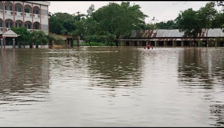 শেরপুরে পাহাড়ি ঢল আর বৃষ্টিতে শতাধিক গ্রাম প্লাবিত